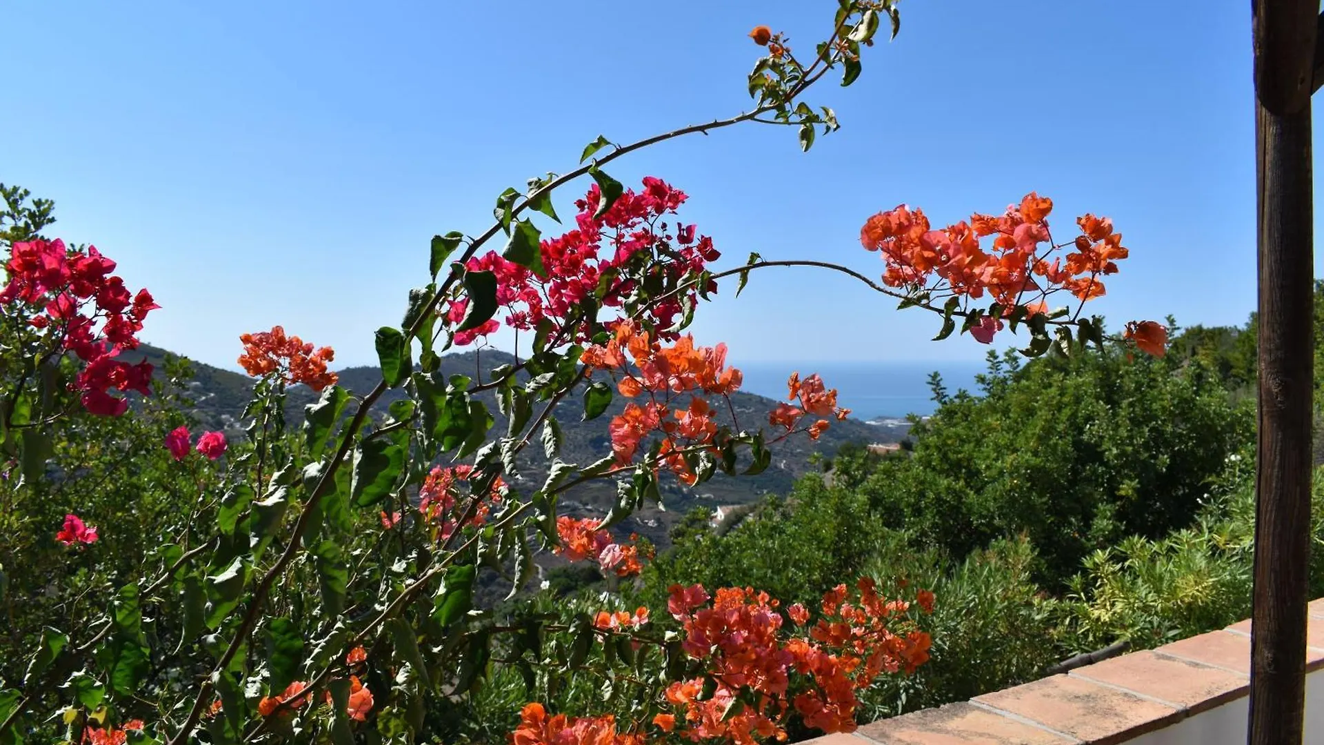 Tatil Evi Finca Tarabita Mit Privatem Pool Cómpeta İspanya